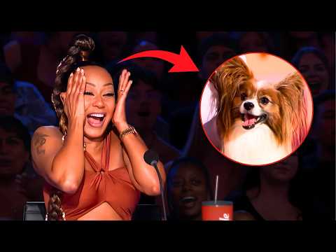 17-Year-Old Dog Trainer Made The Judges Fall in Love With Her Act! | AGT 2026 Early Release