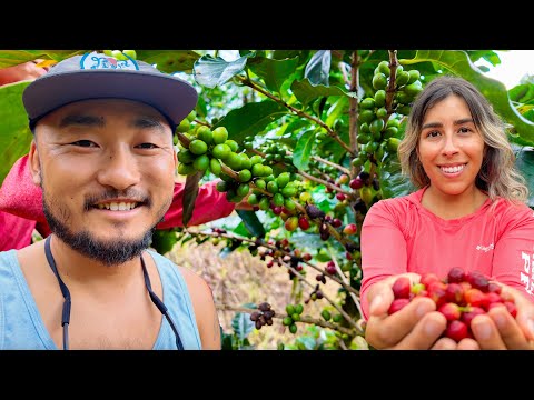 Visiting Remote Nicaragua For A Coffee Farm