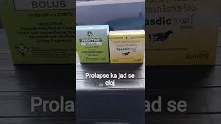 prolapse (kata) ka jad se elaj #vet #dairyfarming #dairy #vettips