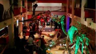 EDUCAUSE 2011: Google party at the Academy of Natural Sciences screenshot 4