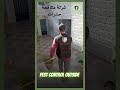 شركة رش البق شركة مكافحة حشرات والتخلص من الحشرات بكفالة حقيقية Shorts 