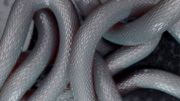 BLENDER 2.8 - SNAKE SCALE ANIMATION TEST.