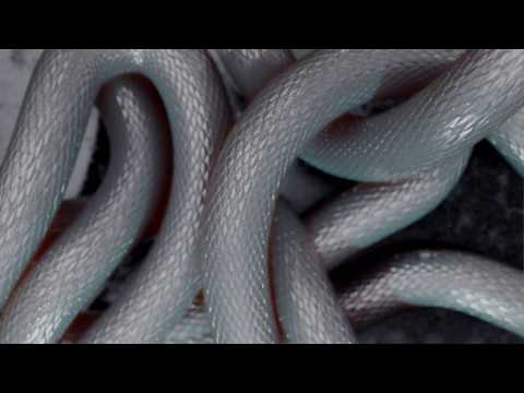 BLENDER 2.8 - SNAKE SCALE ANIMATION TEST.