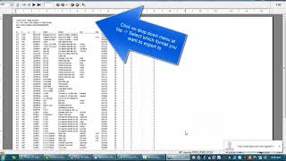 Exporting reports into Excel from Retail Pro v8