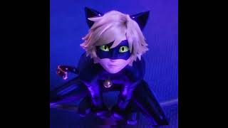 An Edit Of Adrien Catnoir Template
