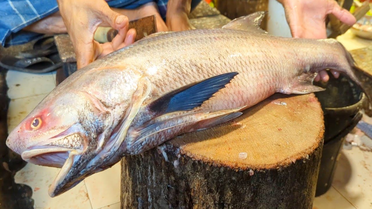 Giant INDIAN SALMON FISH Cutting By Expert Fish Cutter | Big Fish Cutting Skills