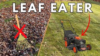 Ditch the Rake: Using the Yardmax Push Mower to Take Care of Leaves