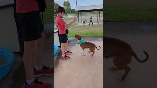 Lady May 1 Shs 9-15-23