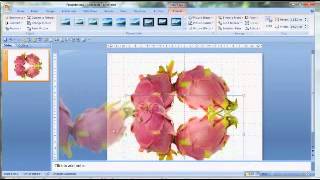 Advanced Reflections   PowerPoint Tutorial HD1