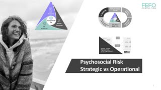 1.1 Psychosocial Risk: Strategic vs Operational