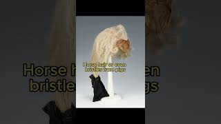 Why Colonial Wigs Were So... Gross #history #art