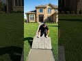 From Plain Concrete to Luxury Ashlar Slate Pathway 🤯 #heavymachinery