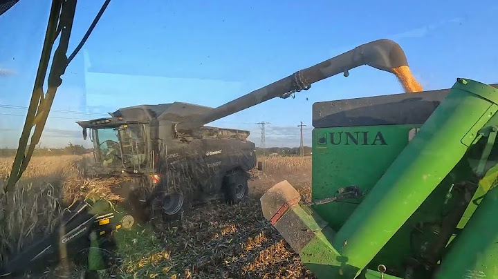 ODWÓZ KUKURYDZY 2024 | JOHN DEERE / FENDT IDEAL | MAISTERSHOTS