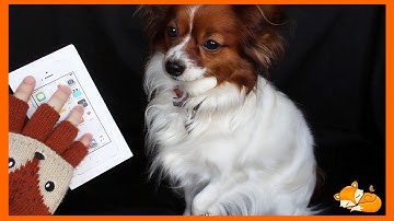 (ASMR) Tapping and sticky sounds on an iPhone box [No talking]