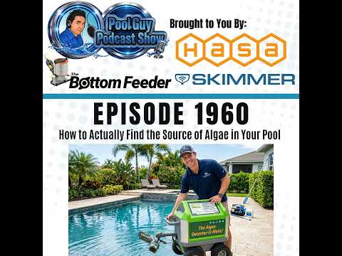 How to Actually Find the Source of Algae in Your Pool