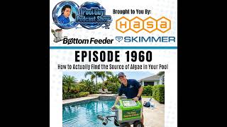 How to Actually Find the Source of Algae in Your Pool