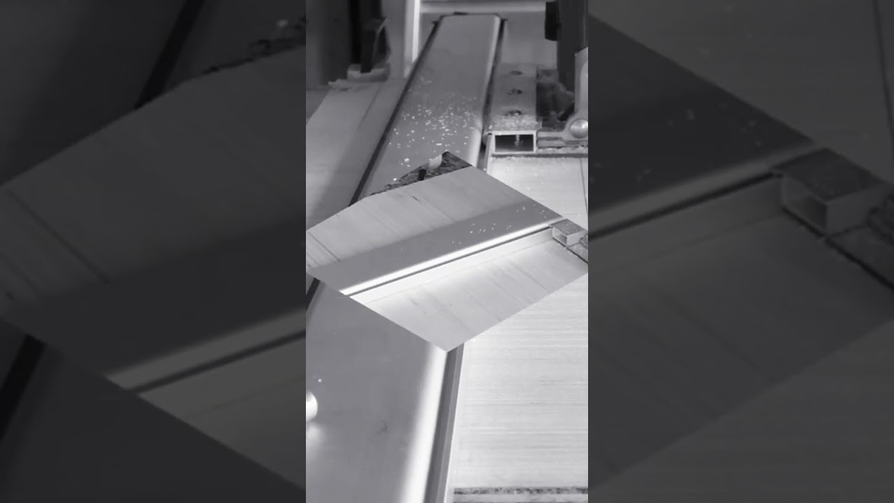 MORSA GUIDA PARKSIDE PER SEGA CIRCOLARE