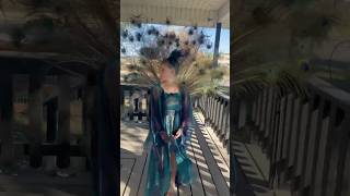 How to: Peacock Costume