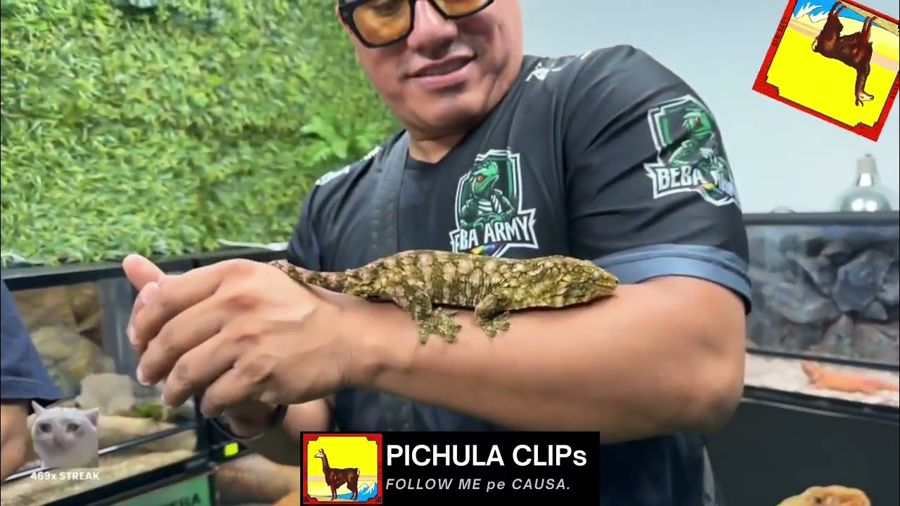 SIDERAL SE REENCUENTRA CON SUS HERMAN0S 