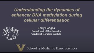PART 1: Utilizing the 6-base genome to investigate the dynamics of enhancer DNA methylation...