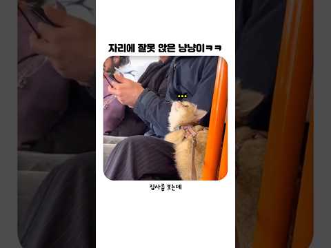 HEALING 표지 4