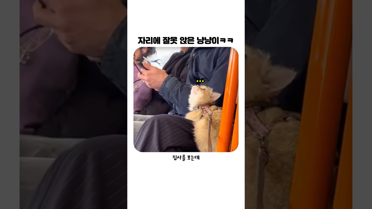 너 왜 거기있어??ㅋㅋㅋㅋㅋㅋ