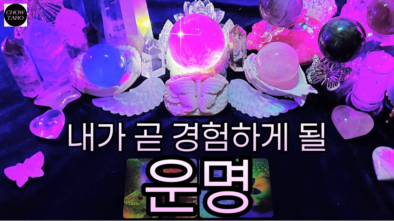 [타로]🦋내가 겪게 될 정해져 있는 운명, 당신의 운명의 계획과 미래 하게 될 경험을 알려 드립니다🔮