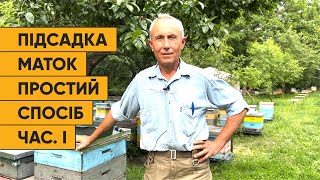 Метод підсадки бджоломаток від Єгошина частина І