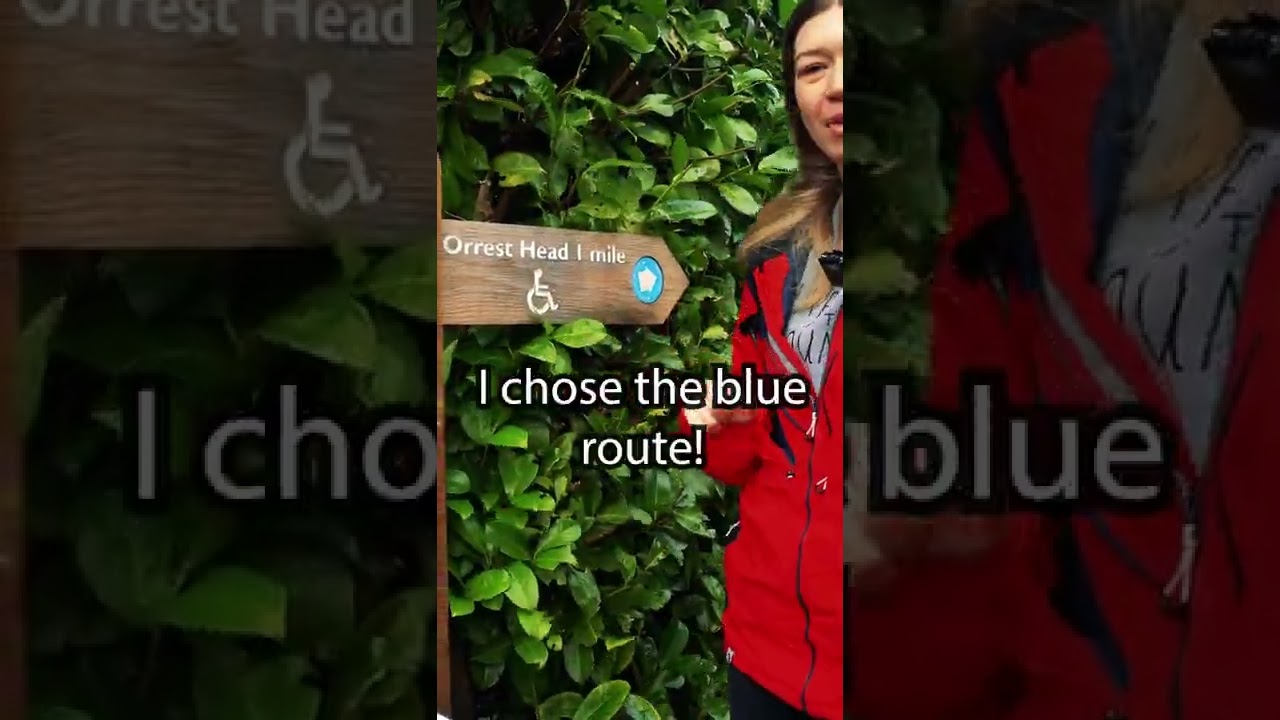 Orrest Head | Lake Windermere | A Popular Place To Visit In The Lake District 