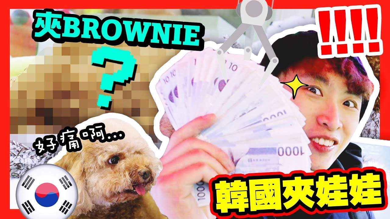 【夾娃娃】韓國「24小時娃娃店」竟然有🐶BROWNIE可以夾！？三萬韓元能夾到多少個！？(中字)