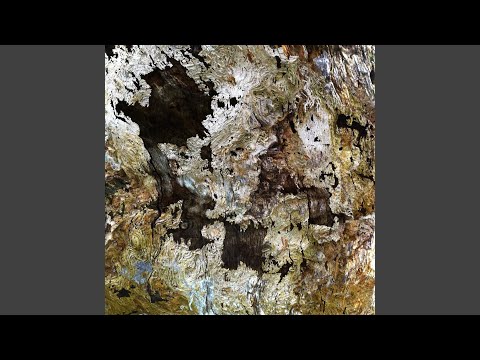 Tehkla — Yoshin
