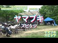 ヤマブキ【スピッツコピー】【北大医学部軽音部】