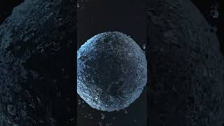 Into The Bubble Monkey Head Splash