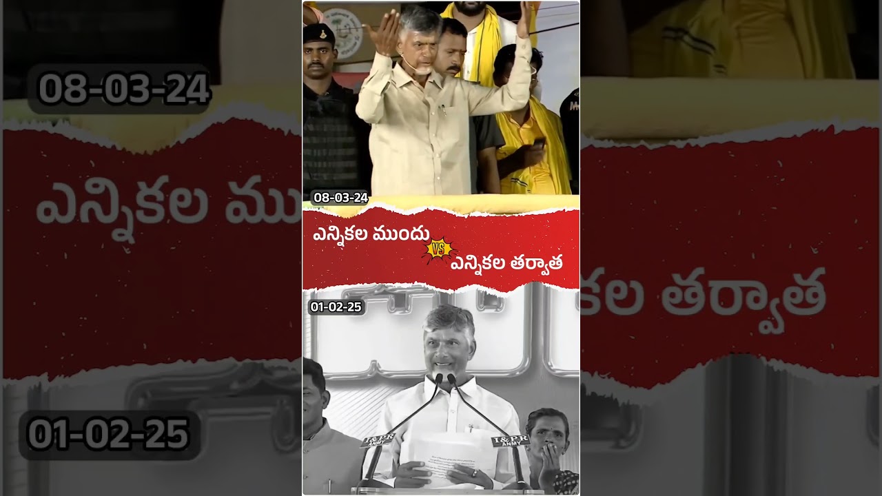 Just Bob Things! 😹🔥