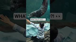 Watch What This Seal Does Next! 🦭👀 #Shorts #HarborSeal #CuteAnimals #AnimalShorts #MarineLife