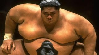Sumo wrestling to resume in Japan after scandal