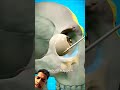 #bome