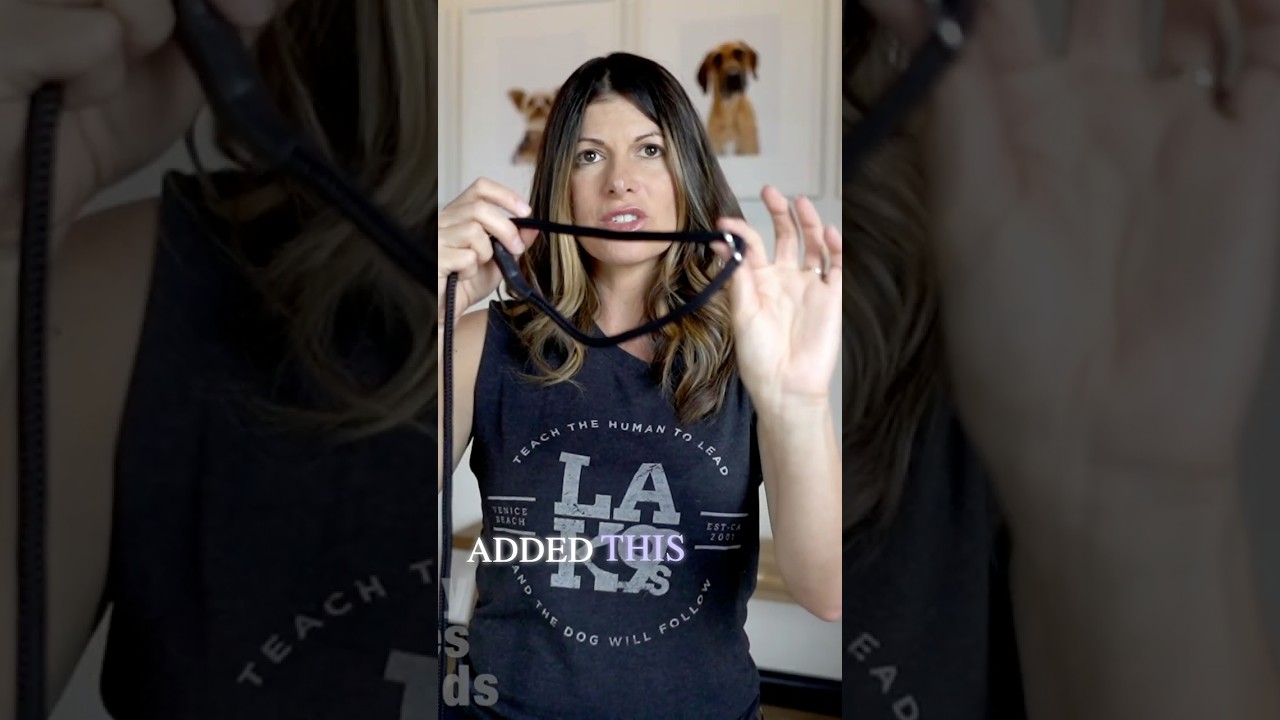 The last Dog Leash you’ll ever need.