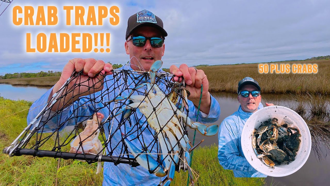 Лов синего краба во Флориде в лучшем виде — более 50 крабов