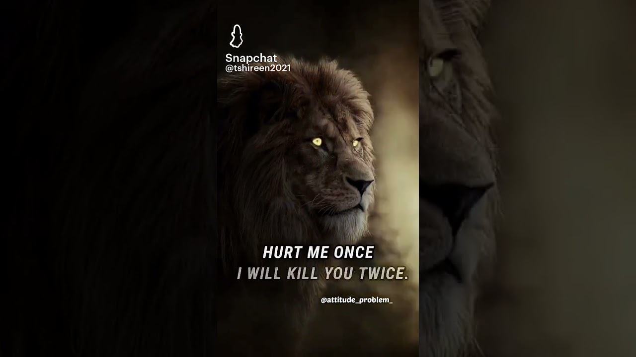 Hurt me once .... I will kill you twice 😏