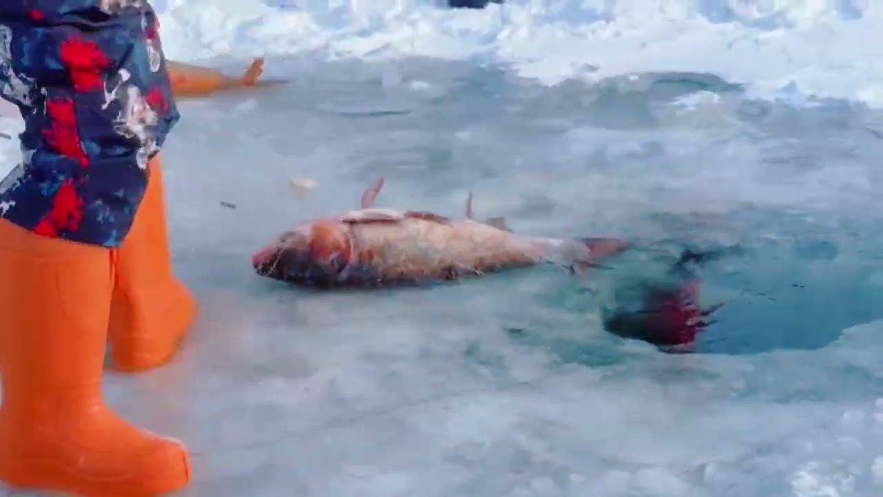 Chagan Lake, Songyuan City, Jilin Province