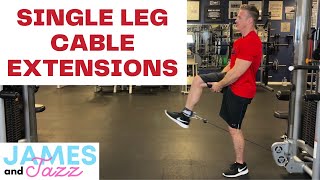Single Leg Extension At Gym | Great Leg Definition | Upper Legs Pump | Upper Leg Definition | Schiek