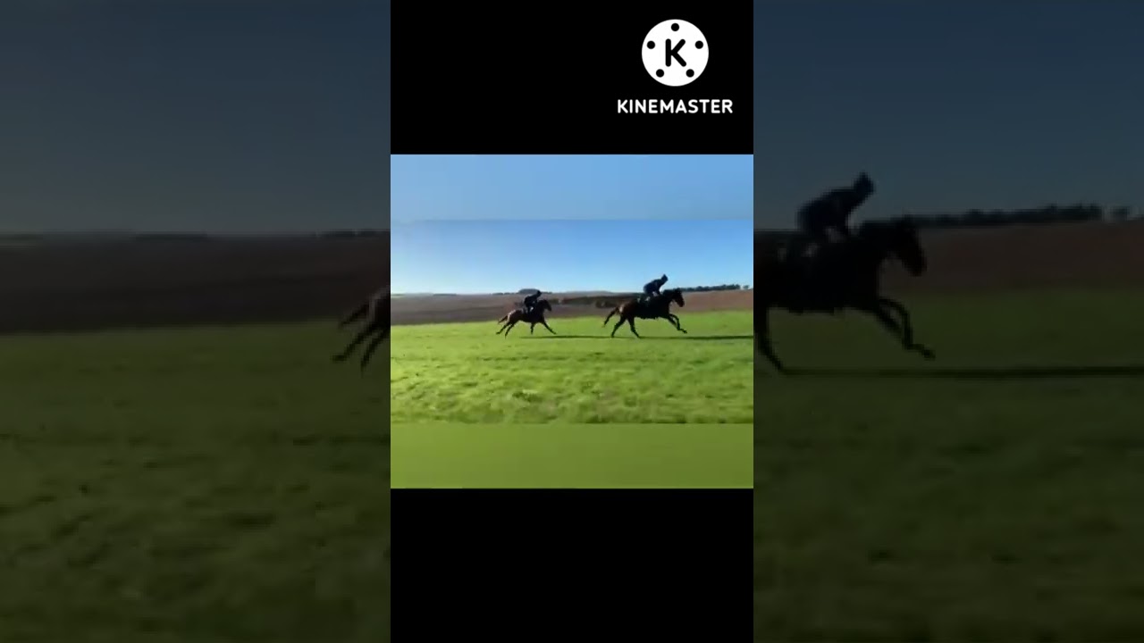Horse race fantastic horses running YouTube
