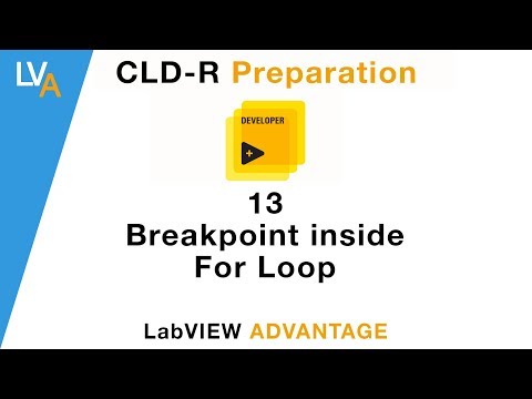 LabVIEW CLD R 13 Breakpoint inside For Loop