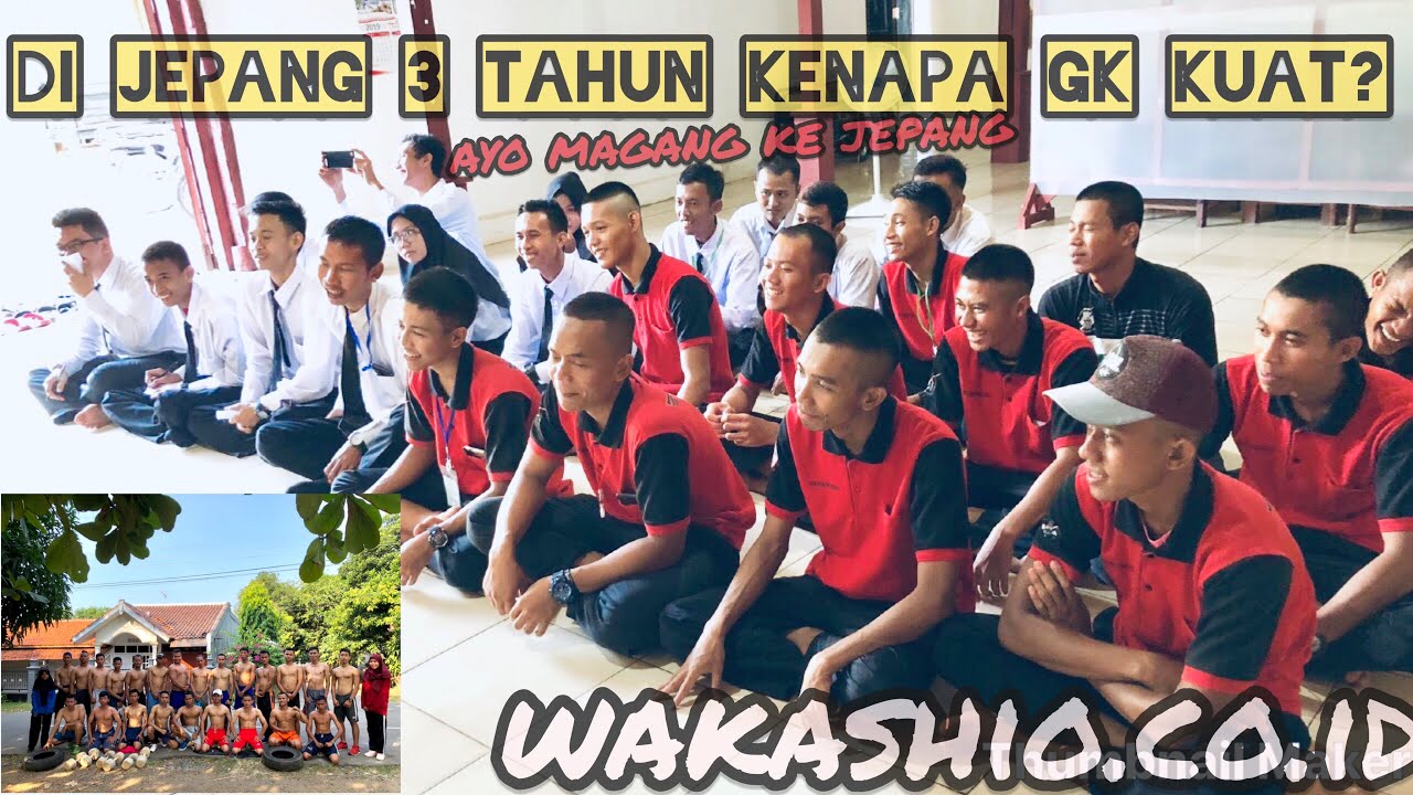 Kontrak Kerja Magang / Contoh Surat Penerimaan Magang ...