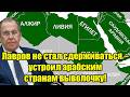 Лавров не стал сдерживаться – устроил арабским страна