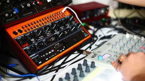 JAM MODEL CYCLES + CRAVE +  MODEL D