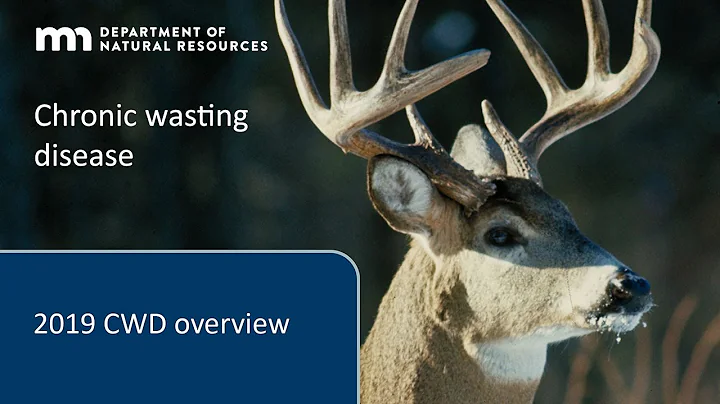 What to know about chronic wasting disease for 2019