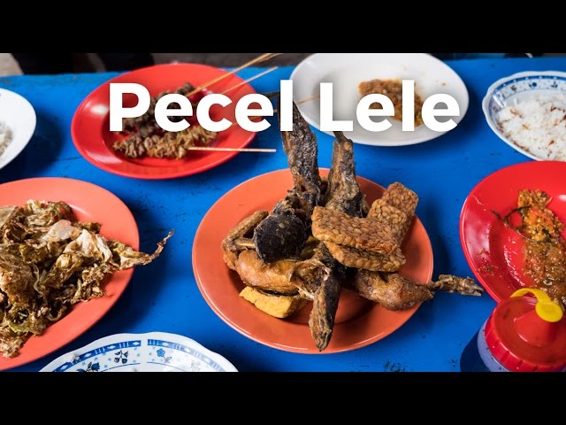 Fried Crispy Catfish (Pecel Lele) at Permata Mubarok 1 | Indonesian Street Food in Jakarta | Mark Wiens