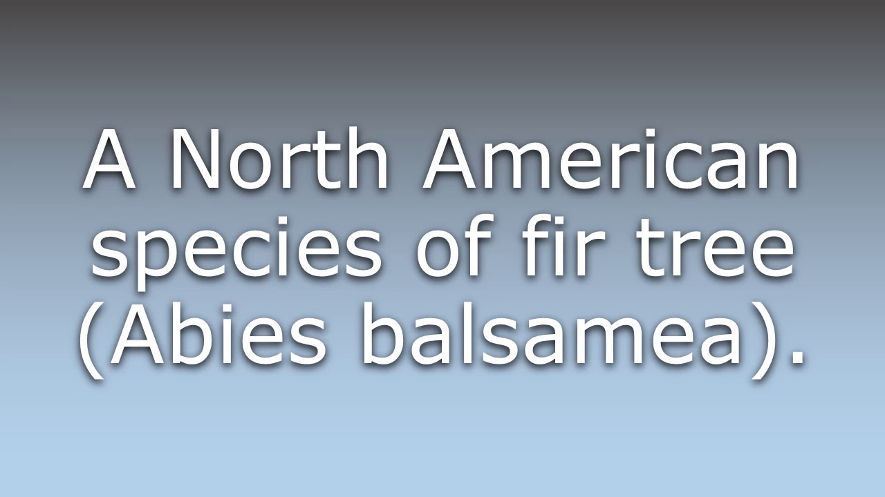 What does Balsam fir mean?